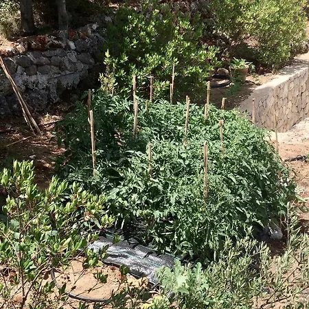 Villa Boo Premium Living