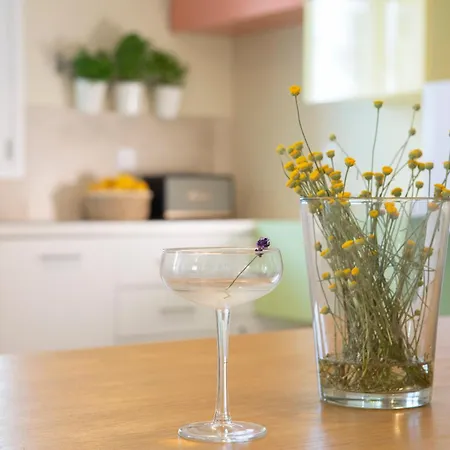 Vilă Boo Premium Living *