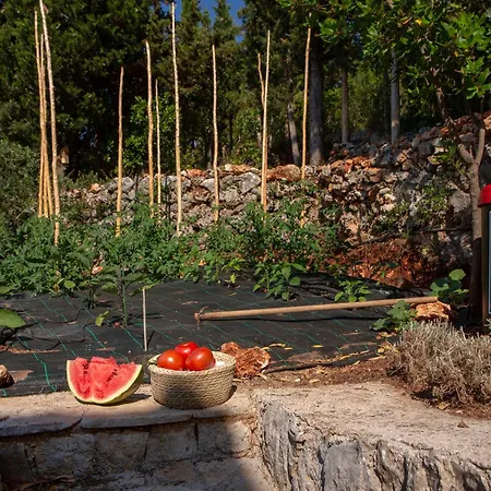 Boo Premium Living Vilă Tsoukaládhes