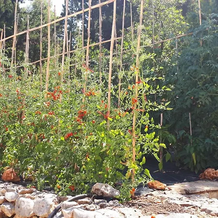 Boo Premium Living וילה