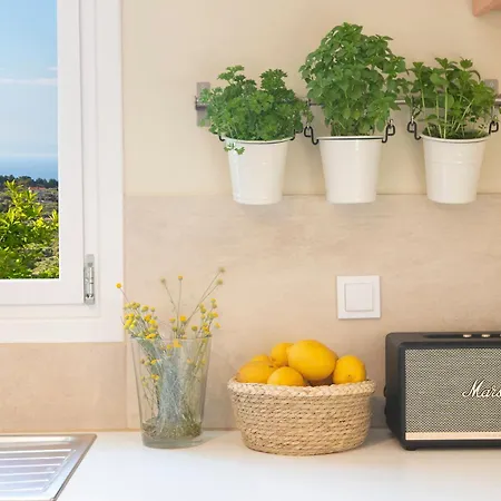 Vilă Boo Premium Living