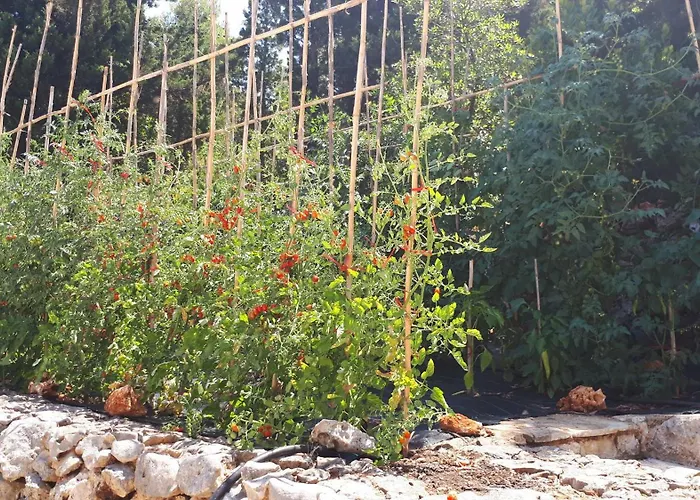 Boo Premium Living Villa