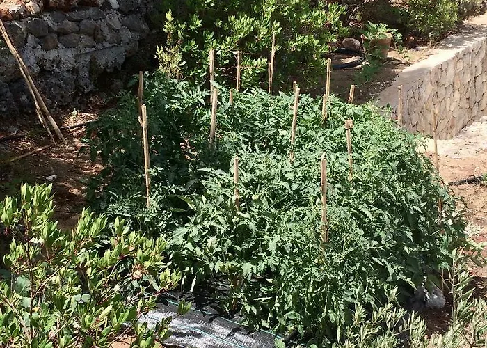 Villa Boo Premium Living